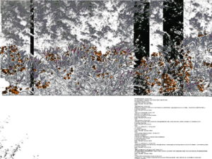 zoom on art, zoomonart, vendita arte online pittura artista emergente zoom on art
