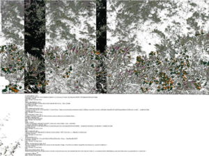 zoom on art, zoomonart, vendita arte online pittura artista emergente zoom on art