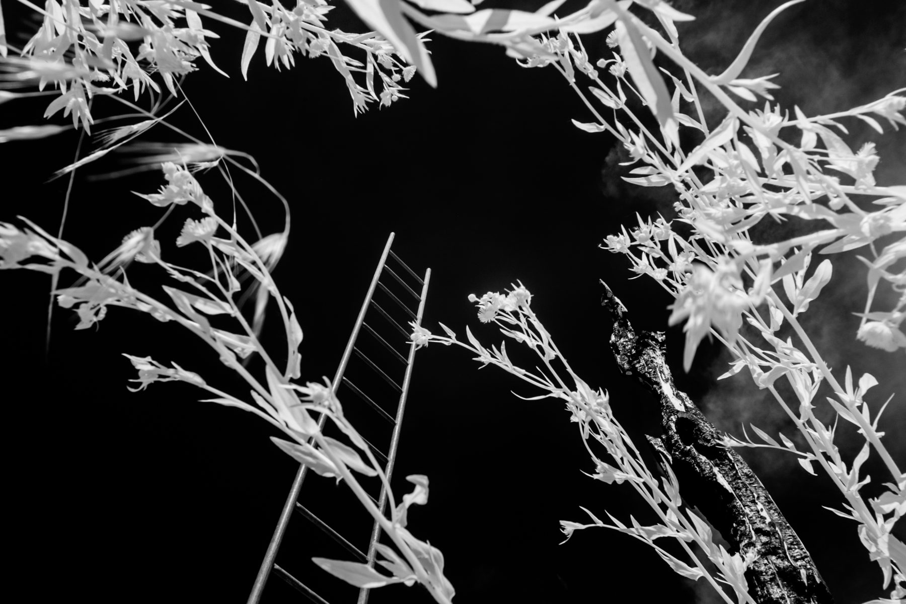 zoom on art, zoomonart, vendita arte online fotografia, artista emergente