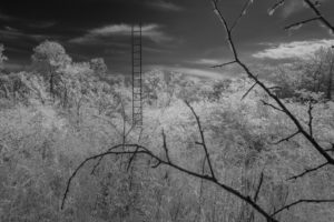 zoom on art, zoomonart, vendita arte online fotografia, artista emergente