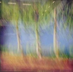 fotografia; vendita fotografie; vendita arte online; galleria arte online; shop arte; zoom on art; luca bovera;
