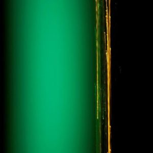 zoom on art, vendita arte online, acquisto quadri online, comprare quadri online, galleria d'arte online